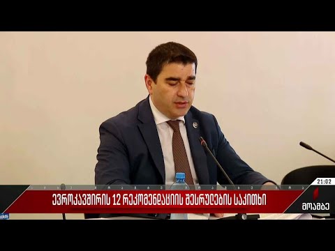 ევროკავშირის 12 რეკომენდაციის შესრულების საკითხი