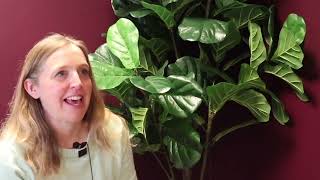 Module 4 Video 4: AI for administrative tasks Wealth