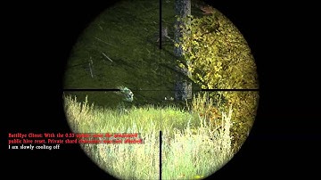 Dayz standalone bug