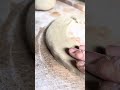 神秘的トイレを作ってトイレの人を卒業します。
