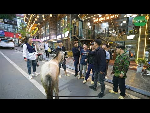 Video SAPA TV | ĐÓN TIẾP KHÁCH QUÝ TỚI MANG TẶNG NGUYÊN CON... - youtube