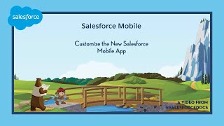 Customize the New Salesforce Mobile App | Salesforce Net Worth