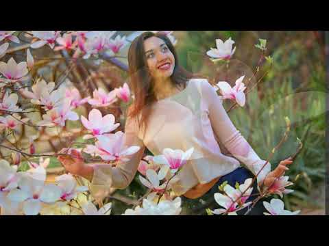 მაგნოლია-Magnolia-Магноля