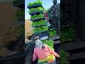 advanced and fast way to plant green mustard seeds #sharp