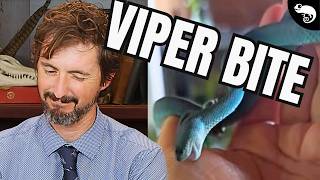 Zoologist Reacts to Viral Snake Bite Videos (Part 2)