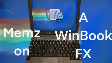 Memz Nyan Cat on a Winbook FX
