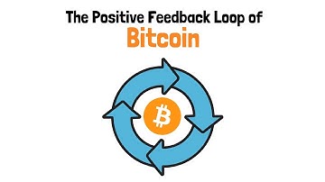 The Positive Feedback Loop of Bitcoin