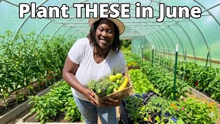 It's Not Too Late! EASIEST Crops You Can Still Plant in June