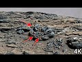Perseverance Rover Latest Images SOL 1583 | Mars Photos | Mars In 4K | Mars 4K 360° Footage
