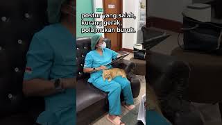 Hidup Sehat Bebas Nyeri #indonesiabebasnyeri2030 #painmanagement#bebasnyeri#doctor#videoshorts