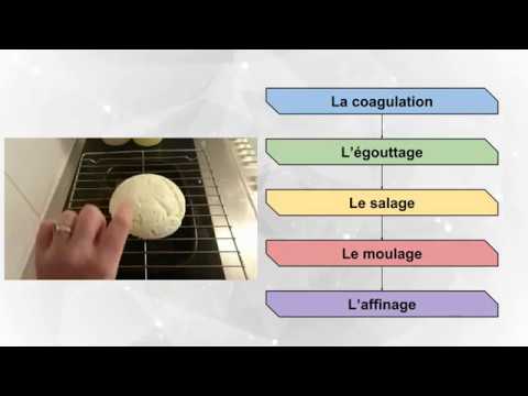 La fabrication d&rsquo;un fromage par Maé et Camille