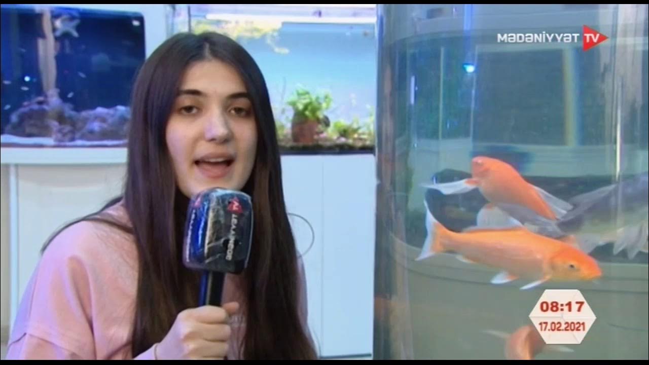 Mast qizlar jinsiy aloqa video