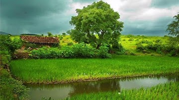 سورة الشرح _ يوسف عيد Surah Al-Sharh - Youssef Eid