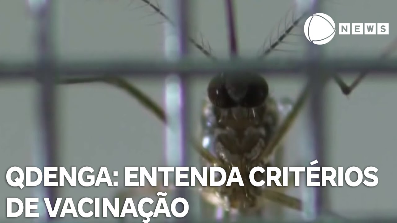 Qdenga: entenda os critérios de vacinação contra a dengue