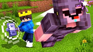 I DESTROYED My School's Minecraft SMP