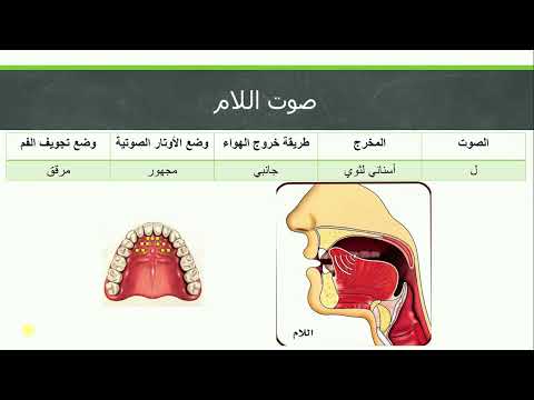 علم الأصوات الأصوات المتوسطة ح10