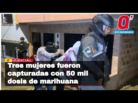 Tres mujeres fueron capturadas con 50 mil dosis de marihuana, en Bucaramanga