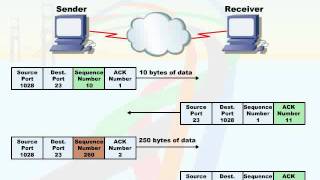 181   15  Communications   13  TCP Sequence and Acknowledgment