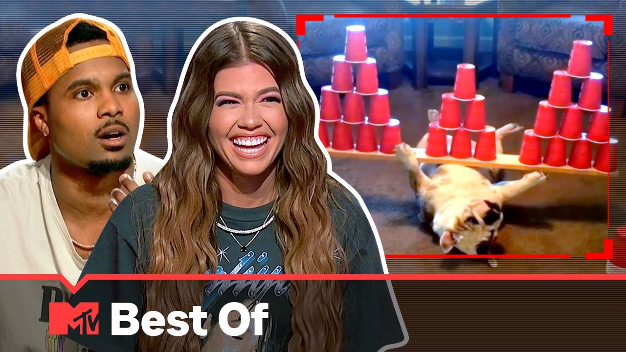 Ridiculousnessly Popular Videos: Dog Edition (Part 2) 🐕 Ridiculousness