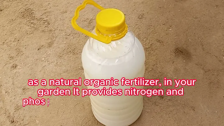 I Always Prepare This Best Fertilizer, I Water Everything With it, The Yield Will Be Huge