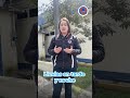 Conoce el pronóstico del clima de este domingo 16 de noviembre