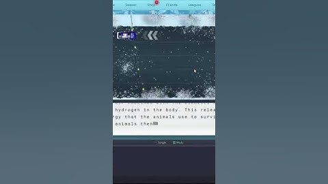 First Race of 2025! #nitrotype #twitchclips
