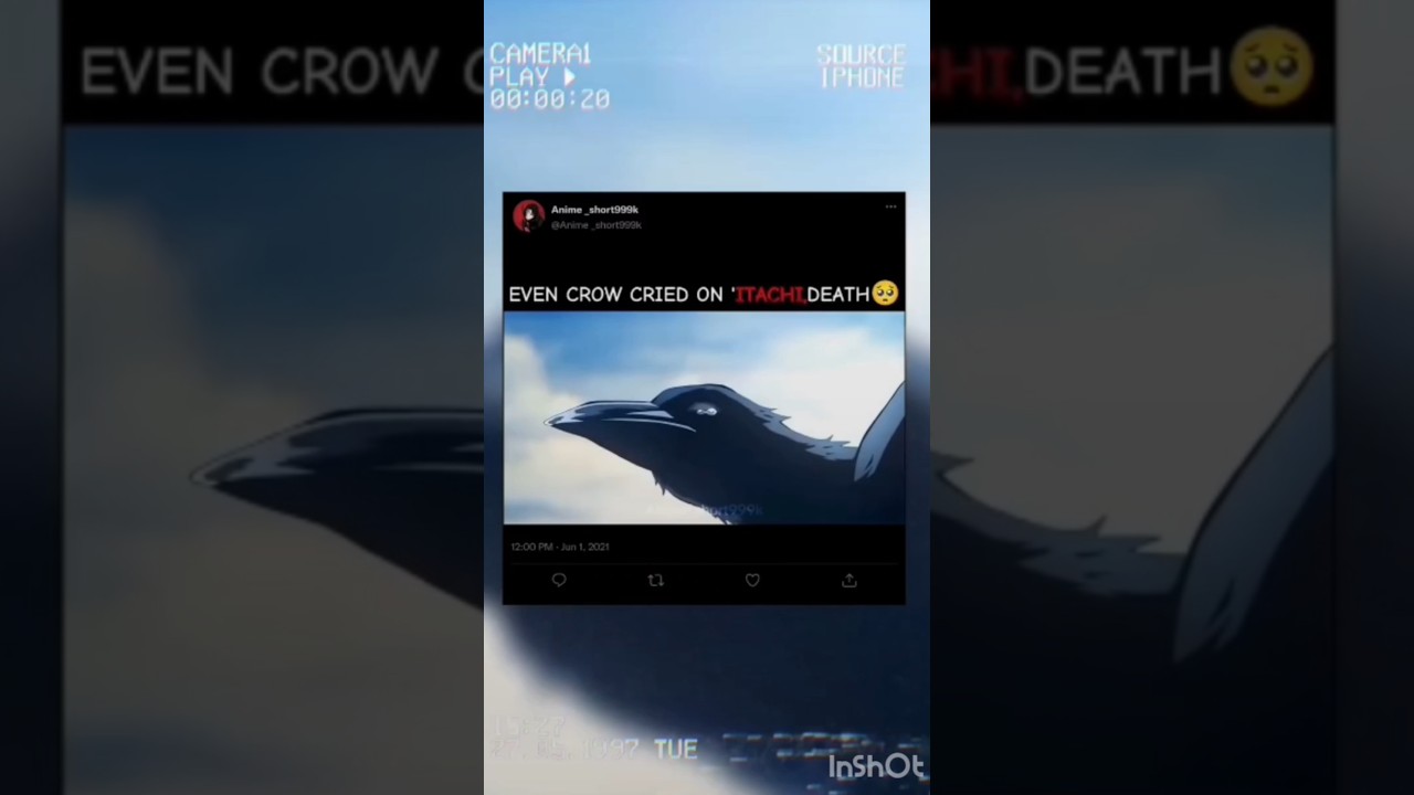Even crow cried Itachi's death 🥹 