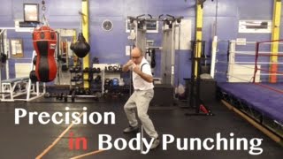 Body Punching Precision - 90 Second Boxing Tips