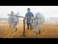 توصيات سينمائية Maharshi 2019 إذا كنت من محبي الأفلام الهندية فلا يفوتك مشاهده فيلم 
