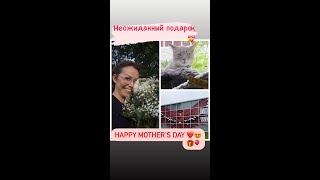 День Матери ❤️😍 Happy Mother's Day 🎉❤️😍Сонина школа  USA VLOG Жизнь в США