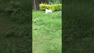 190906 1117