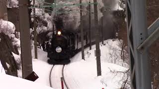 SLレトロみなかみ　上牧〜水上　（水上館前踏切）