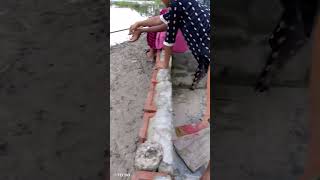 village girls fishing  #amazingj #fishing #fish #villagefishj