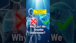 The Real Reason Humans Cant Breathe Underwater