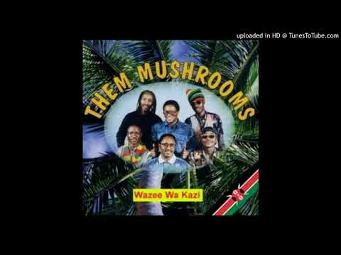 Bango Them Mushrooms