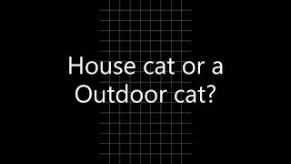 CAT CHOICES screenshot 4