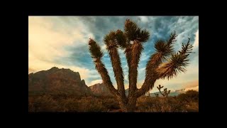 Nuclear weapons    new Documentary BBC 2017