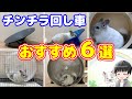 チンチラの回し車おすすめ6選‼うるさい・乗らない・色んなサイズをちょっと紹介♪