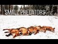 NH: Pienpedot | Predator hunting in Finland | 2017