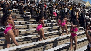 ASU Stingettes “B**** Lets Do It” JSU ‘25 💫🐝