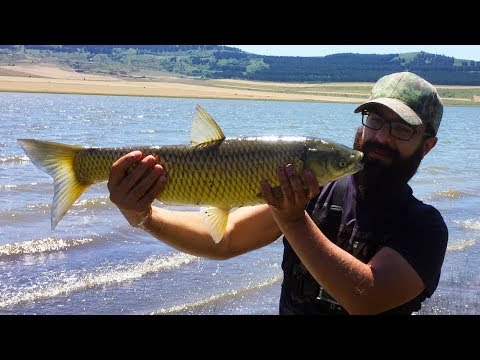 თევზაობა ნადარბაზევის ტბაზე 2019