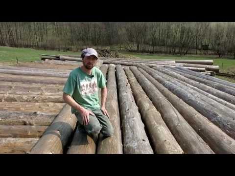 Video: Jaké Dřevo Zvolit Pro Stavbu Srubu