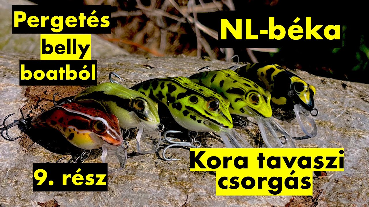 Pergetés belly boatból 9. rész - NL béka - Kora tavaszi csorgás