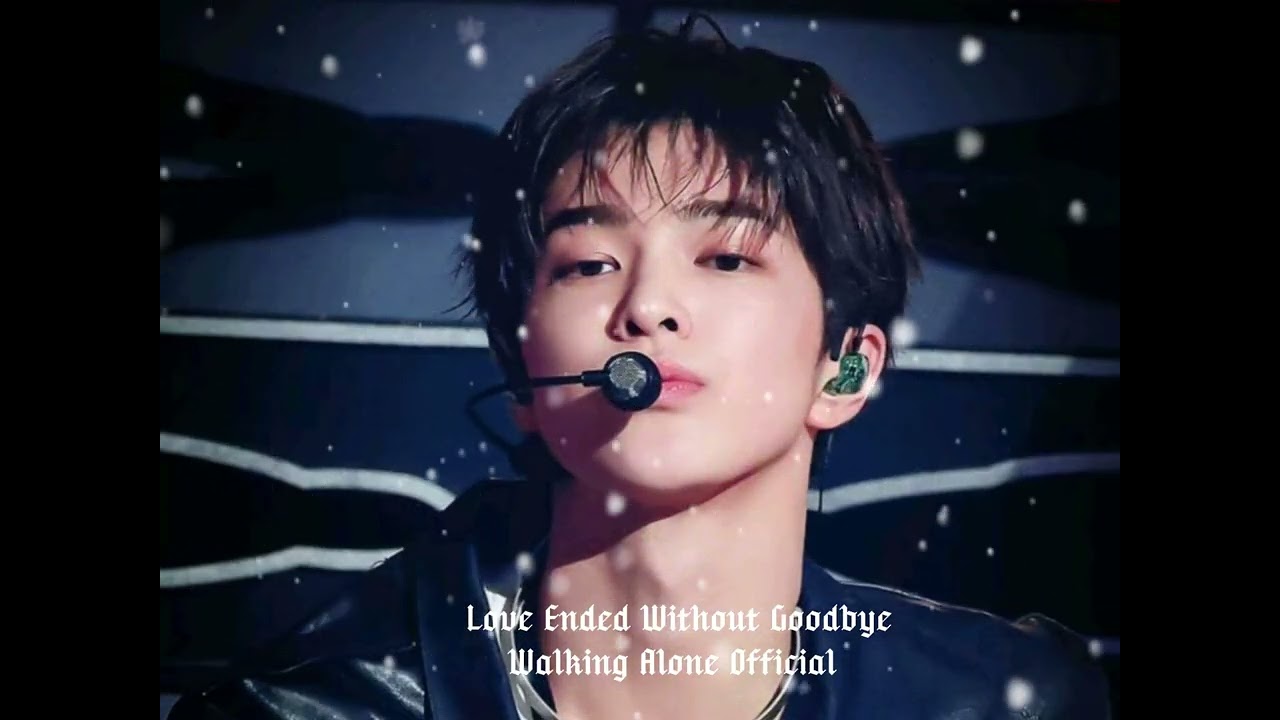 Love Ended Without Goodbye