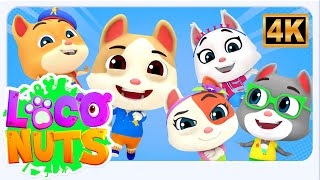 five little kittens counting song more learning videos kids