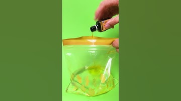 💦 What’s the Science Behind This Water Trick? 🤔🔬 #shorts #learn