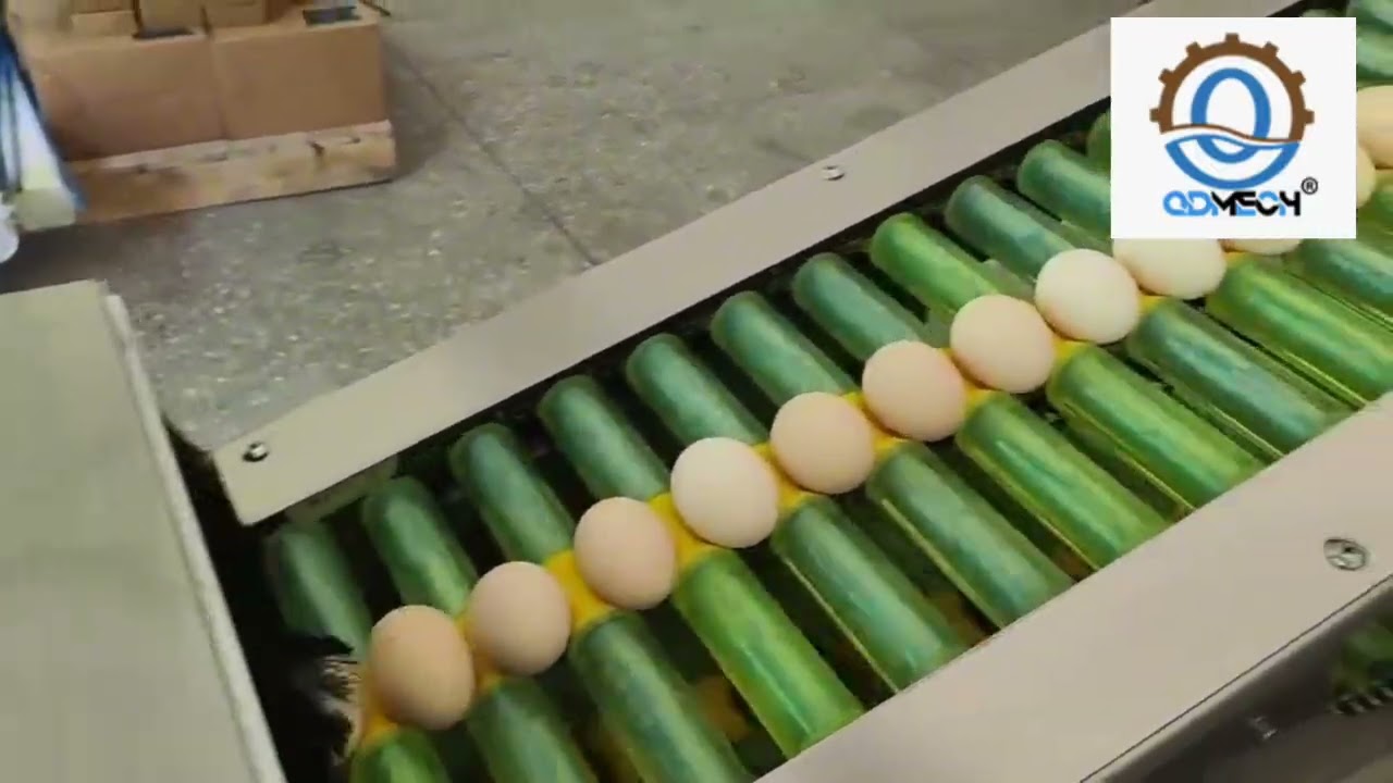 Egg grading automatic packaging production line