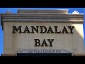 Mandalay Bay Staycation - Room Tour, Wave Pool & Tropical Splendor