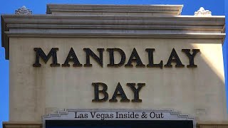 Mandalay Bay Staycation - Room Tour, Wave Pool & Tropical Splendor