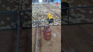 Super Management Heating Management In Broiler Space Heater In Poultry Gas Heater In Poultry